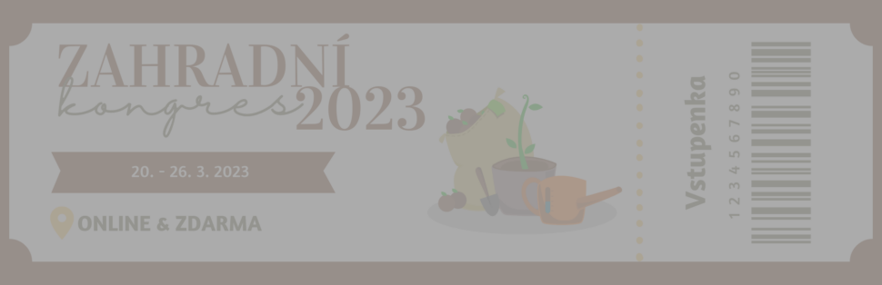 KPZ2023_vstupenka_šedá